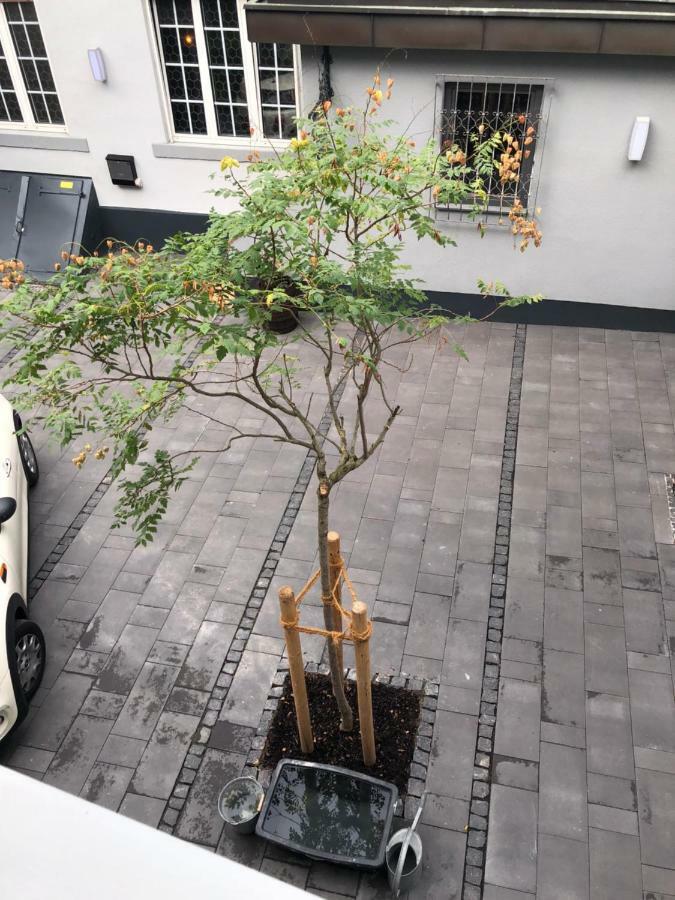 Gaestewohnung Im Logenhaus 美因茨 外观 照片